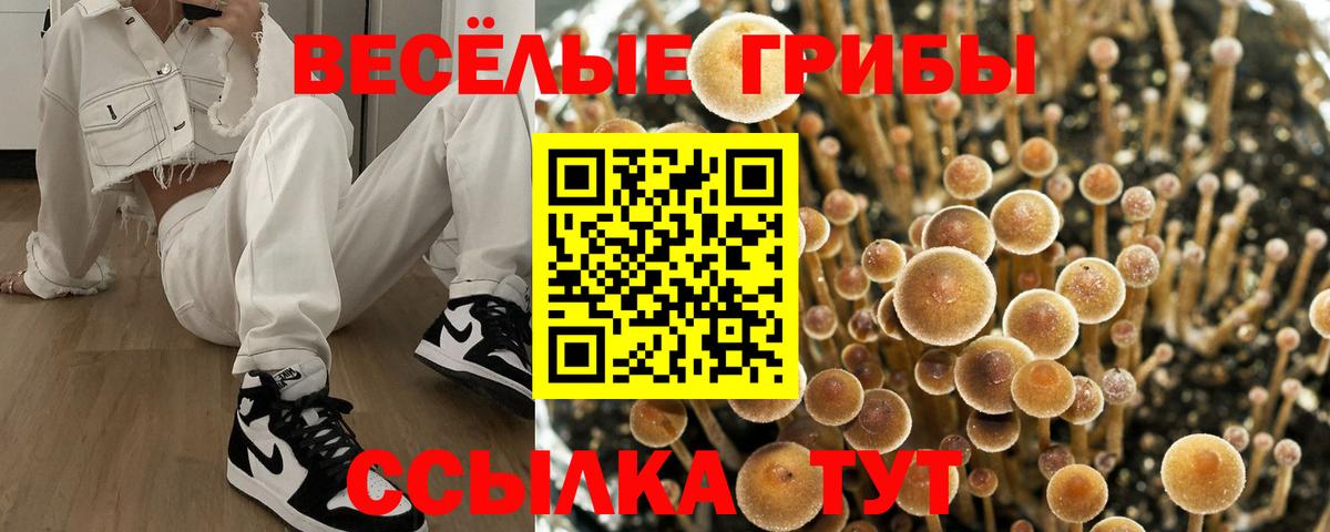 Псилоцибиновые грибы MAGIC MUSHROOMS Рузаевка
